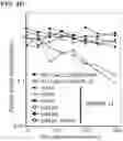 Fig. 10 - Modified cascade ribonucleoproteins and uses thereof