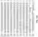 Fig. 20 - Modified cascade ribonucleoproteins and uses thereof