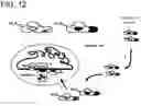 Fig. 23 - Modified cascade ribonucleoproteins and uses thereof