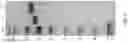 Fig. 06 - Compositions of beta-glucuronidase enzyme blends with enhanced enzymatic activity and methods of preparation thereof