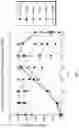 Fig. 07 - Compositions of beta-glucuronidase enzyme blends with enhanced enzymatic activity and methods of preparation thereof