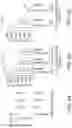 Fig. 09 - Deimmunized lysostaphin and methods of use
