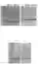 Fig. 04 - Heat-resistant carbonic anhydrase mutants and composition for capturing carbon dioxide containing the same