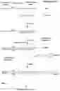 Fig. 02 - Random RNA libraries, methods of generating same, and screening methods utilizing same
