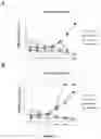 Fig. 13 - Random RNA libraries, methods of generating same, and screening methods utilizing same