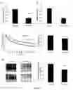 Fig. 03 - Methods and pharmaceutical compositions for the treatment of cystic fibrosis