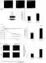 Fig. 08 - Methods and pharmaceutical compositions for the treatment of cystic fibrosis