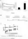 Fig. 10 - Methods and pharmaceutical compositions for the treatment of cystic fibrosis