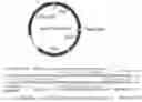 Fig. 01 - COMPOSITIONS AND METHODS FOR GENE EDITING