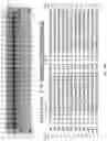Fig. 24 - COMPOSITIONS AND METHODS FOR GENE EDITING