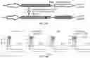 Fig. 27 - COMPOSITIONS AND METHODS FOR GENE EDITING