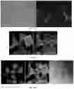 Fig. 31 - COMPOSITIONS AND METHODS FOR GENE EDITING
