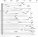 Fig. 36 - COMPOSITIONS AND METHODS FOR GENE EDITING