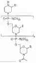 Fig. 01 - EXON SKIPPING COMPOSITIONS FOR TREATING MUSCULAR DYSTROPHY
