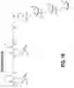 Fig. 03 - EXON SKIPPING COMPOSITIONS FOR TREATING MUSCULAR DYSTROPHY