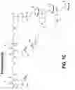 Fig. 04 - EXON SKIPPING COMPOSITIONS FOR TREATING MUSCULAR DYSTROPHY
