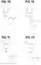 Fig. 05 - EXON SKIPPING COMPOSITIONS FOR TREATING MUSCULAR DYSTROPHY