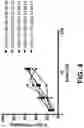 Fig. 09 - EXON SKIPPING COMPOSITIONS FOR TREATING MUSCULAR DYSTROPHY