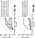 Fig. 10 - EXON SKIPPING COMPOSITIONS FOR TREATING MUSCULAR DYSTROPHY