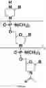 Fig. 02 - COMPOSITIONS FOR TREATING MUSCULAR DYSTROPHY