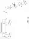 Fig. 03 - COMPOSITIONS FOR TREATING MUSCULAR DYSTROPHY