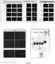Fig. 08 - COMPOSITIONS FOR TREATING MUSCULAR DYSTROPHY
