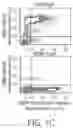 Fig. 03 - RNA-based regulatory technologies for miRNA sensors
