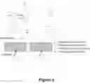 Fig. 03 - ANTISENSE POLYNUCLEOTIDES TO INDUCE EXON SKIPPING AND METHOD OF TREATING DYSTROPHIES