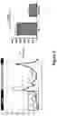 Fig. 10 - ANTISENSE POLYNUCLEOTIDES TO INDUCE EXON SKIPPING AND METHOD OF TREATING DYSTROPHIES