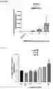 Fig. 11 - Compositions and methods for the treatment of hypercholesterolemia