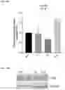 Fig. 20 - Compositions and methods for the treatment of hypercholesterolemia