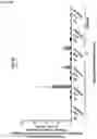Fig. 33 - Compositions and methods for the treatment of hypercholesterolemia