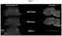 Fig. 07 - METHODS AND COMPOSITIONS FOR ENHANCING FUNCTIONAL MYELIN PRODUCTION