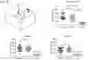 Fig. 08 - METHODS AND COMPOSITIONS FOR ENHANCING FUNCTIONAL MYELIN PRODUCTION