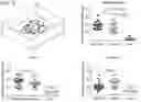 Fig. 09 - METHODS AND COMPOSITIONS FOR ENHANCING FUNCTIONAL MYELIN PRODUCTION