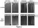 Fig. 04 - Optimized vector for delivery in microbial populations