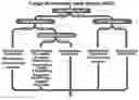 Fig. 01 - Systems and Methods for Identifying and Expressing Gene Clusters