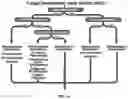 Fig. 02 - Systems and Methods for Identifying and Expressing Gene Clusters