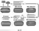 Fig. 14 - Systems and Methods for Identifying and Expressing Gene Clusters