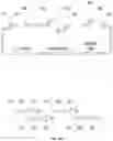 Fig. 19 - Systems and Methods for Identifying and Expressing Gene Clusters