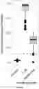 Fig. 21 - Systems and Methods for Identifying and Expressing Gene Clusters