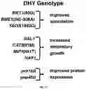 Fig. 28 - Systems and Methods for Identifying and Expressing Gene Clusters