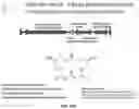 Fig. 34 - Systems and Methods for Identifying and Expressing Gene Clusters