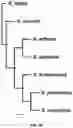 Fig. 40 - Systems and Methods for Identifying and Expressing Gene Clusters