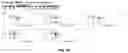 Fig. 74 - Systems and Methods for Identifying and Expressing Gene Clusters