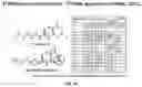 Fig. 78 - Systems and Methods for Identifying and Expressing Gene Clusters