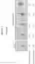 Fig. 05 - Optimized tissue-preferred promoter and uses thereof