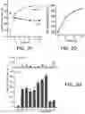 Fig. 08 - Enhanced lipid biosynthesis via engineered plastid lipases
