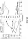 Fig. 11 - Enhanced lipid biosynthesis via engineered plastid lipases