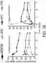 Fig. 12 - Enhanced lipid biosynthesis via engineered plastid lipases